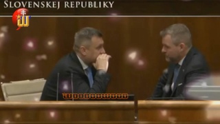 Zatiaľ čo Sulík v parlamente pečie pizzu, Danko s Pellem pečú niečo iné. |