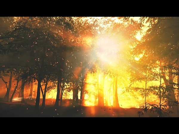 Relaxing Ambience Music Misty