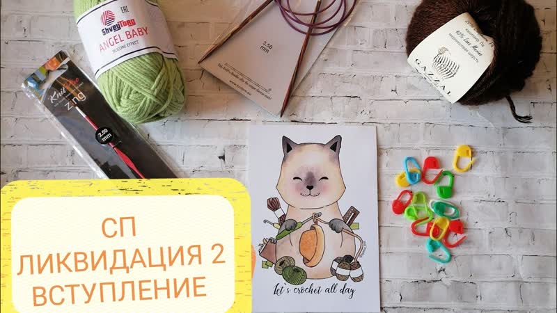 СП Ликвидация 2, вступление, участник 19. Мои процессы и