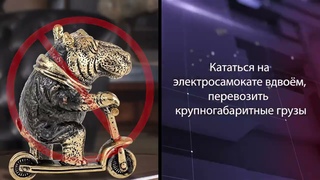 Социальный видеоролик Об использовании средств индивидуальной мобильности.