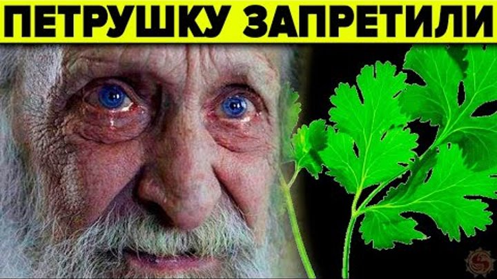 Петрушка кто и зачем её запретил Неизвестные факты о