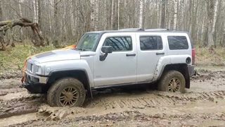 Лайтовая трофи покатушка в Синявино с OFF4ROAD