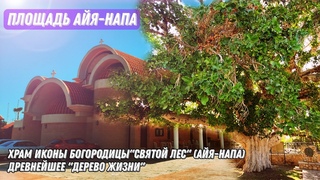 Площадь Айя-Напа.   .