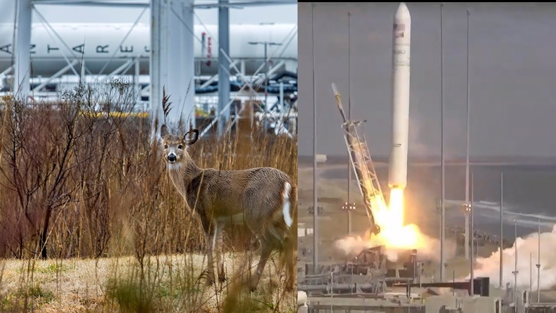 NG 15 Antares 230+ launches S. S. Katherine Johnson