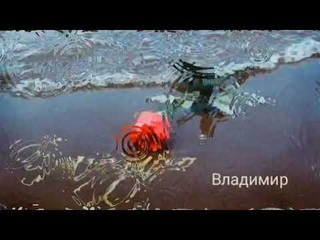 ЛУННАЯ СЕРЕНАДА ПОГОДАЕВ НИКОЛАЙ/ВЛАДИМИР (ДУЭТ)LEDI