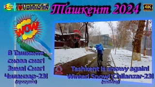 В Ташкенте снова снег! Зима! Снег! (прогулка) | Tashkent is snowy again! Winter! Snow! (walking)