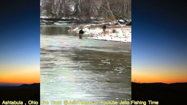 Ashtabula, Ohio Trout Live on