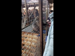 Обожнюю нотів)))))))