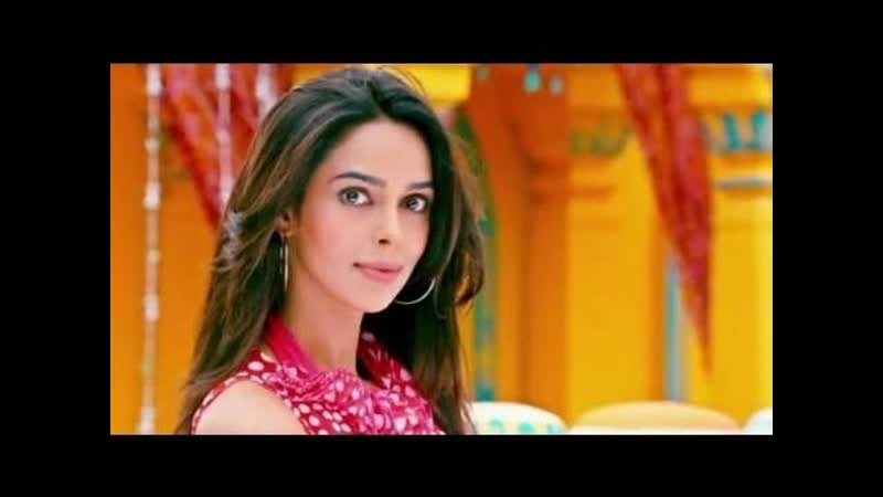 Appy Budday Video Song, Kismet Love Paisa Dilli ( KLPD), Vivek Oberoi, Mallika