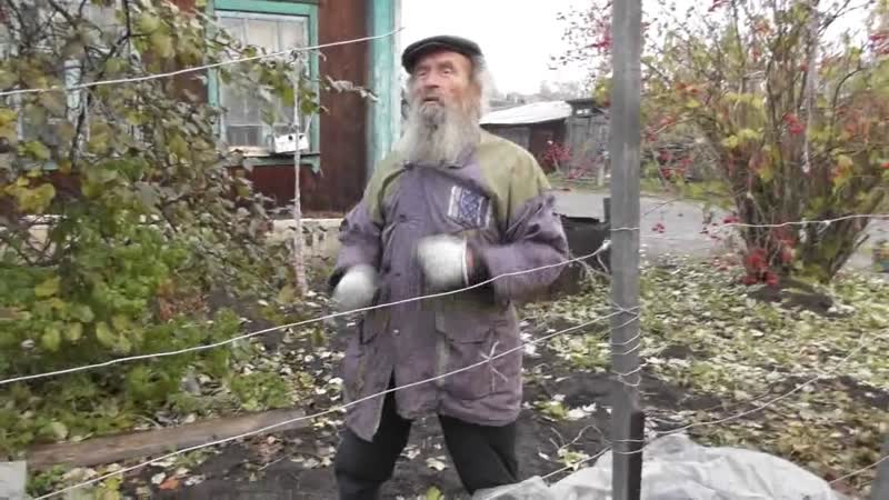 Закрыть виноград от холода. Попутно размышления на события