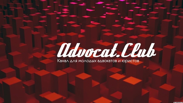 Наш новый