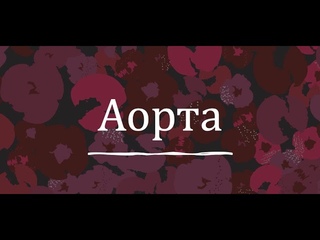 Аорта. Части аорты. Ветви дуги аорты