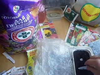 19 02 2016г  посев цветов