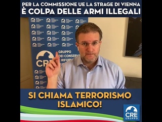 Carlo Fidanza: Per UE strage di Vienna  colpa di armi illegali. Si chiama terrorismo