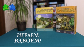 Агрикола с дополнением Торфяные фермеры - играем в настольную игру. Agricola: Farmers of the Moor.