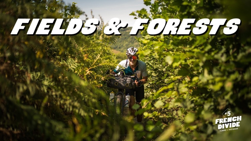 EPISODE 2 FIELDS
