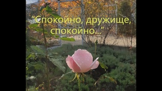 “Спокойно, дружище, спокойно...“ Песня Юрия Визбора. В его исполнении есть в к/ф “Июльский дождь“...