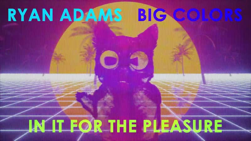 Ryan Adams In It For The Pleasure (