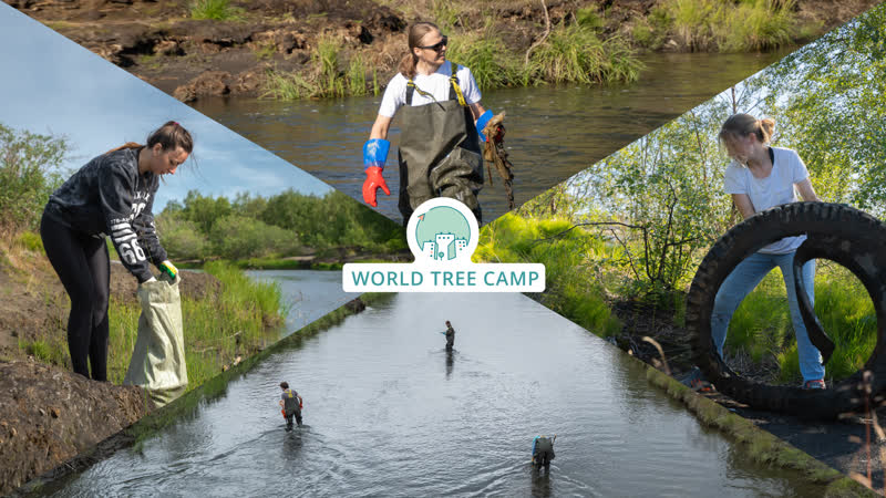 World Tree Camp Волонтерский Кампус в Никеле