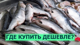 Цены на горбушу