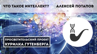 Что такое интеллект, или о вреде биологической метафоры для области ИИ  Алексей Потапов