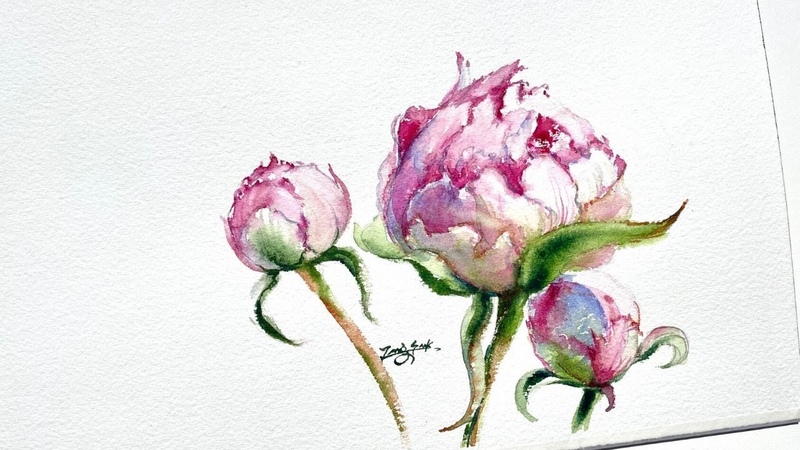 Watercolor Painting Pinkish Peony Buds Tutorial Step by