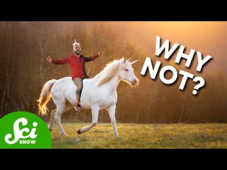 Why Cant We Have Unicorns