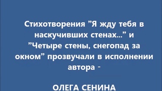 Поэтический цикл Заточение  Фрагмент 9  ТЮРЕМНЫЕ СВИДАНИЯ