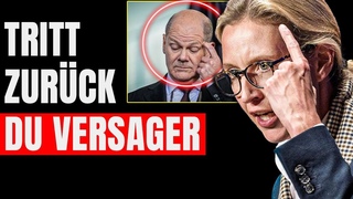Alice Weidel RASTET KOMPLETT Aus! Ampel Wird BLAMIERT! Sowas Haben Wir Noch NIE GESEHEN
