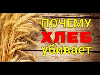 Хлеб чему голова