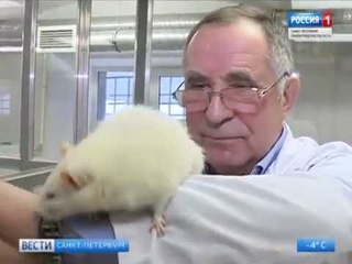 В Педиатрическом университете научились выращивать донорские органы при помощи тканевой инженерии
