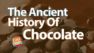 This Ancient History of Chocolate!