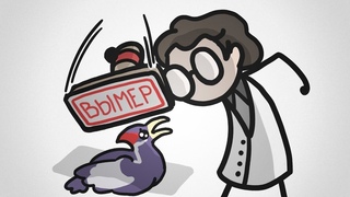 Даёшь больше вымерших видов! [Минутка Земли]