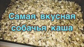 Самая лучшая каша собакам