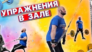 Самые эффективные упражнения. Середина спины, задняя дельта, пресс, бицепс