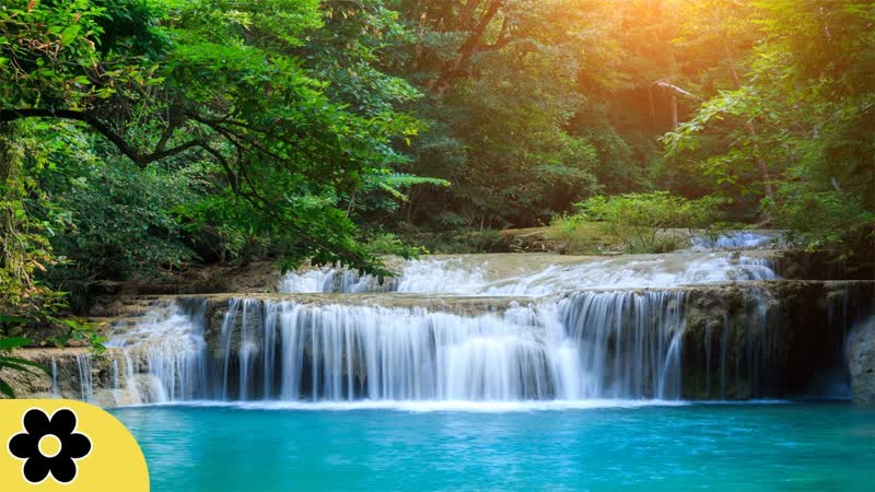 8 Hour Relaxing Sleep Music, Calm Music, Soft Music, Instrumental Music, Sleep Meditation, 3126