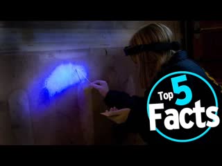 Top 5 Amazing Facts About DNA Evidence