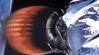 Creature Sighted On SpaceX ( September 3, 2021 )