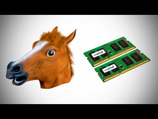 Horse Heads & RAM Upgrades! (Deal Therapy)