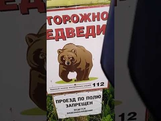 Внешний пилот - работа мечты! :)