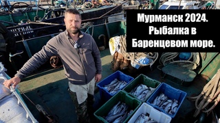 Мурманск 2024. Рыбалка в Баренцевом море.