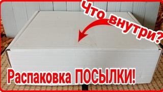 Распаковываю ПОСЫЛКУ! С новыми моделями из интернет магазина!