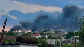 Чорнобаївка продовжу свою ферію: гарно накрила бавовна Чорнобаївку