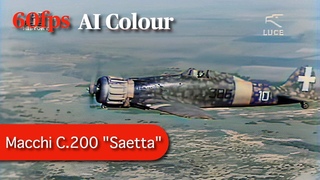 Macchi  “Saetta“ - Regia Aeronautica Italian air force in ww2 [AI, Sound, 60fps, Colourized]