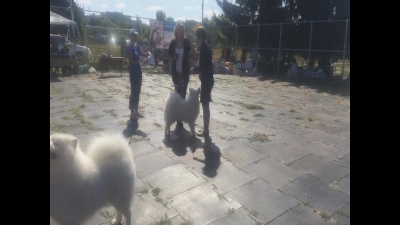 Alkhabor Almira Esenya Чемпион