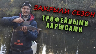 ЗАКРЫЛИ СЕЗОН РЫБАЛКИ ТРОЙФЕЙНЫМИ ХАРЮСАМИ  ХОДОВАЯ РЫБАЛКА ПО ЛЕСНОЙ РЕЧКЕ  Ч.1