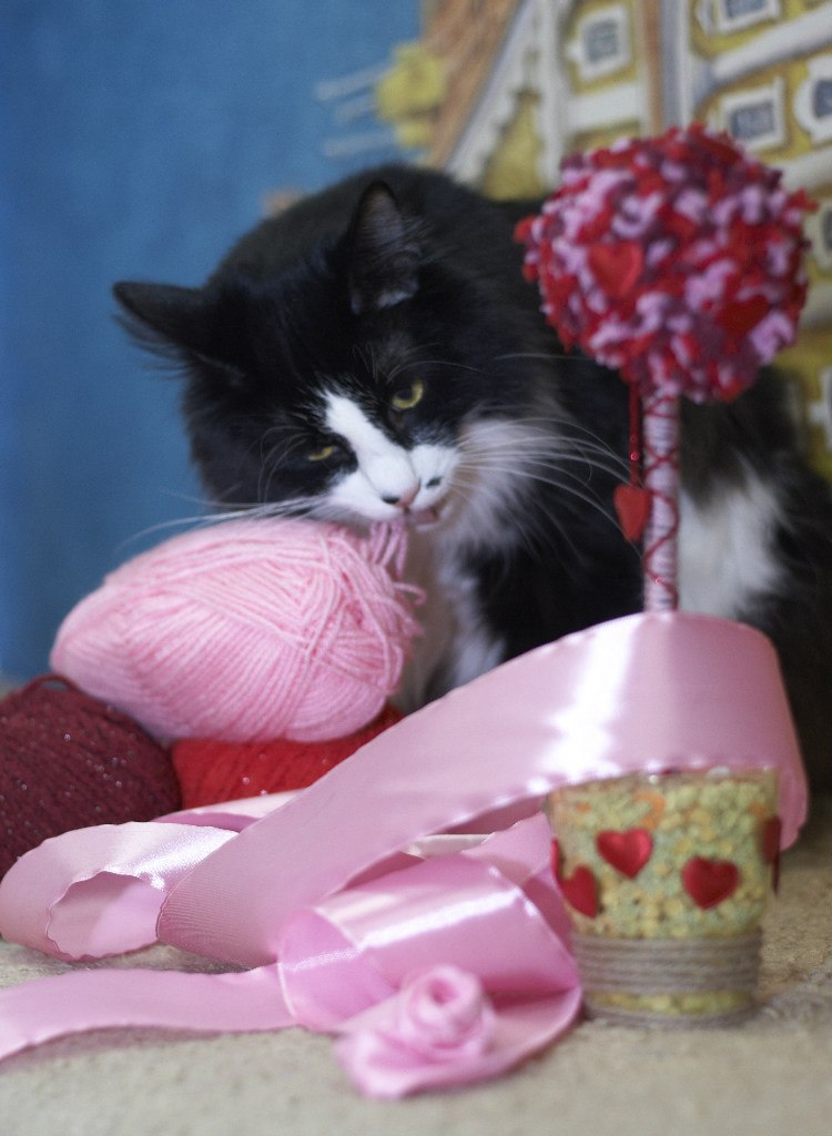 Катерина Uma rock♥n♥heart | Санкт-Петербург