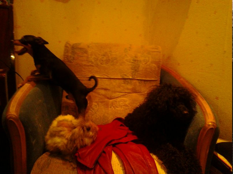 Екатерина Никулина | Псков