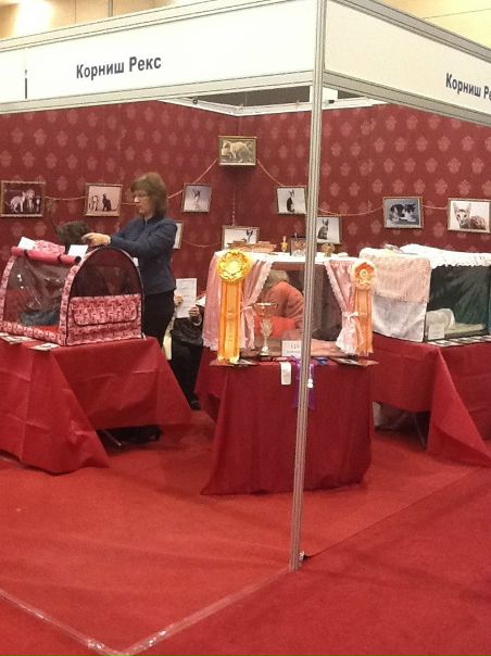 №6, Ксения Иванцова, 37 лет, Краснодар №6, Ксения Иванцова, 37 лет, Краснодар