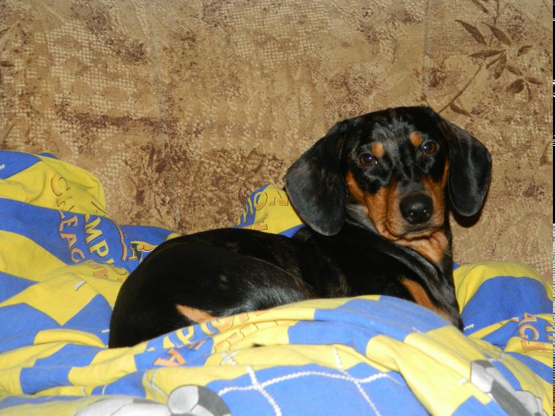 Алексей Книга | Херсон